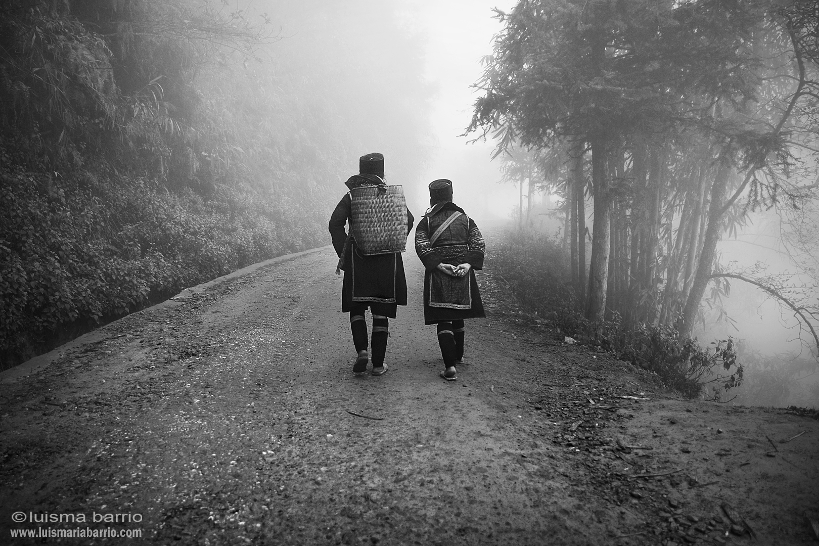 fog mountains sapa vietnam